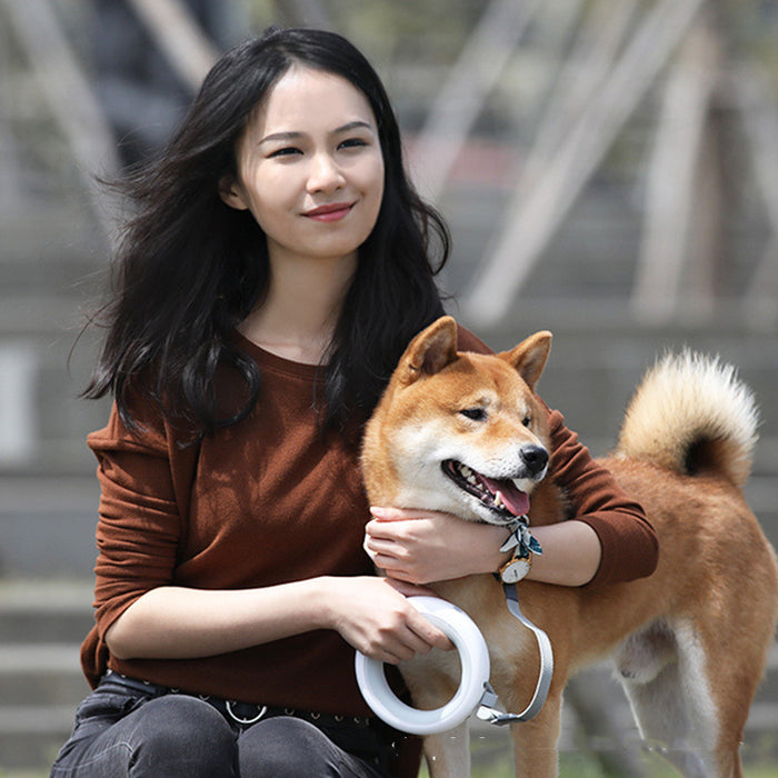 LED Retractable Dog Walking Leash