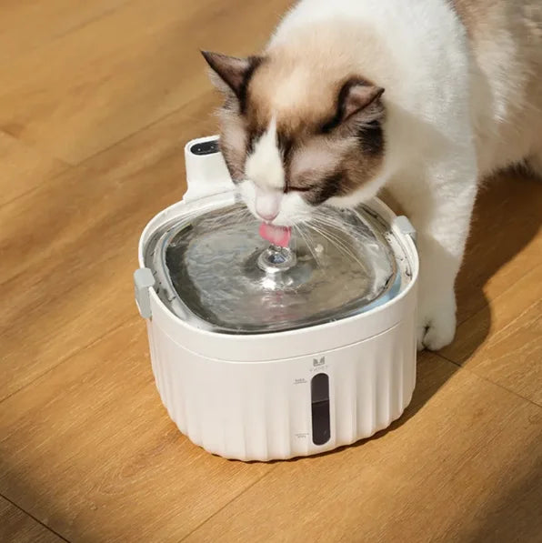 2L Cat Water Fountain – Automatic USB Pet Water Dispenser with Filter
