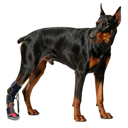 Corrective Dog Shoes – Anti-Slip Waterproof Paw Protection Boots