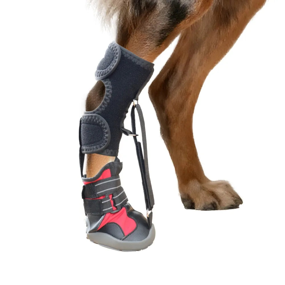 Corrective Dog Shoes – Anti-Slip Waterproof Paw Protection Boots